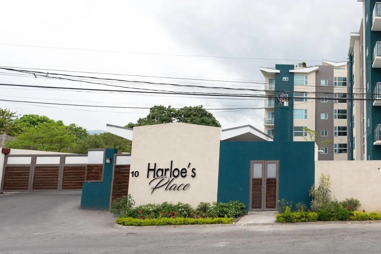 Harloe'S @ Kingstongo876